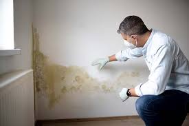 Biohazard Mold Removal in Leipsic, OH